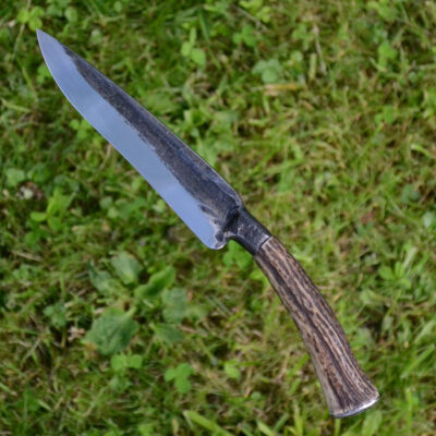 56 kopia